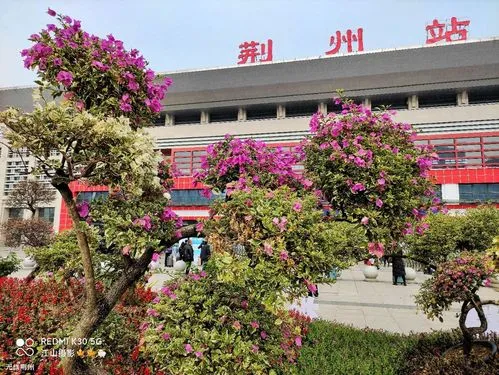 東莞到荊州物流公司專線-大件運輸物流公司「食品運輸」2025排名一覽